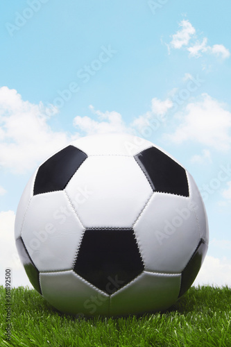 Soccer ball on a grass