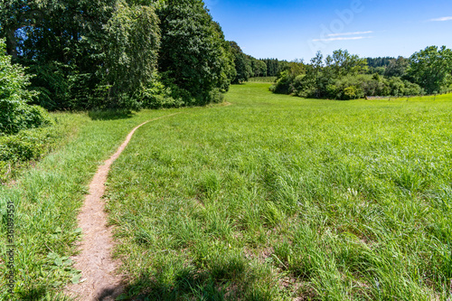 Premium hiking trail Seegang on Lake Constance