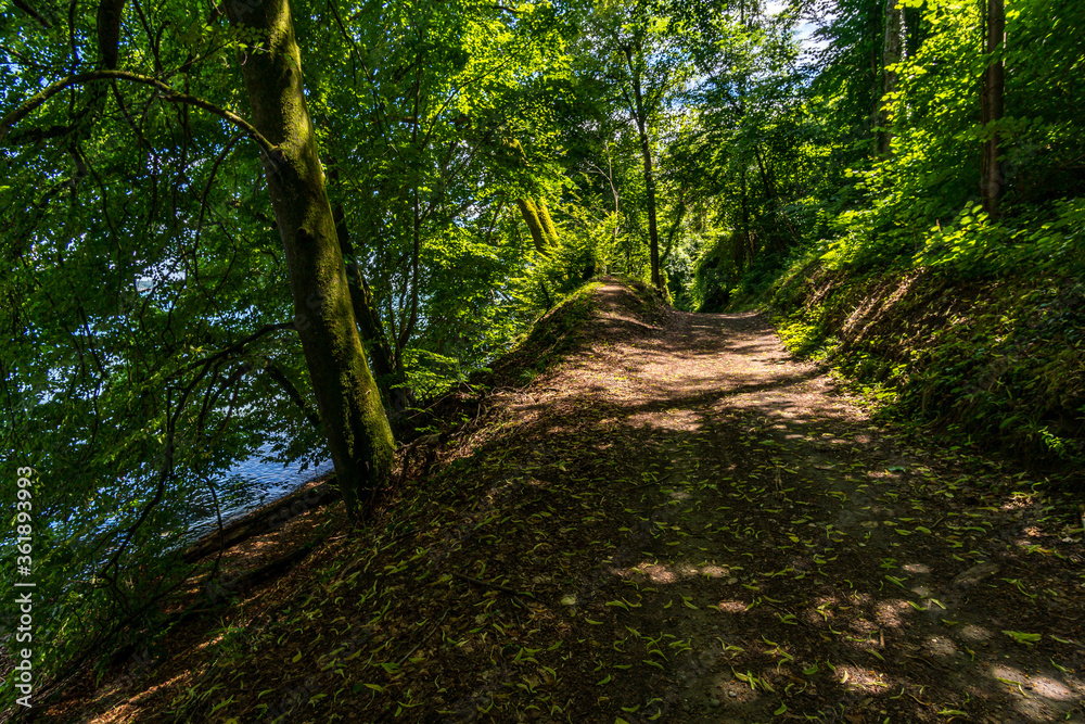 Fototapeta premium Premium hiking trail Seegang on Lake Constance