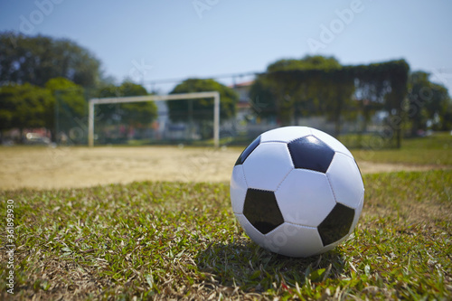 Soccer ball on a soccer field © ImageHit