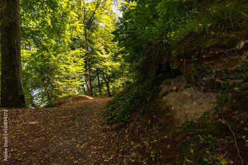 Premium hiking trail Seegang on Lake Constance