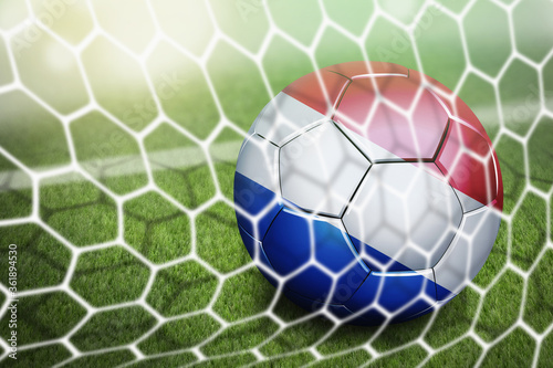 Netherlands soccer ball in goal net