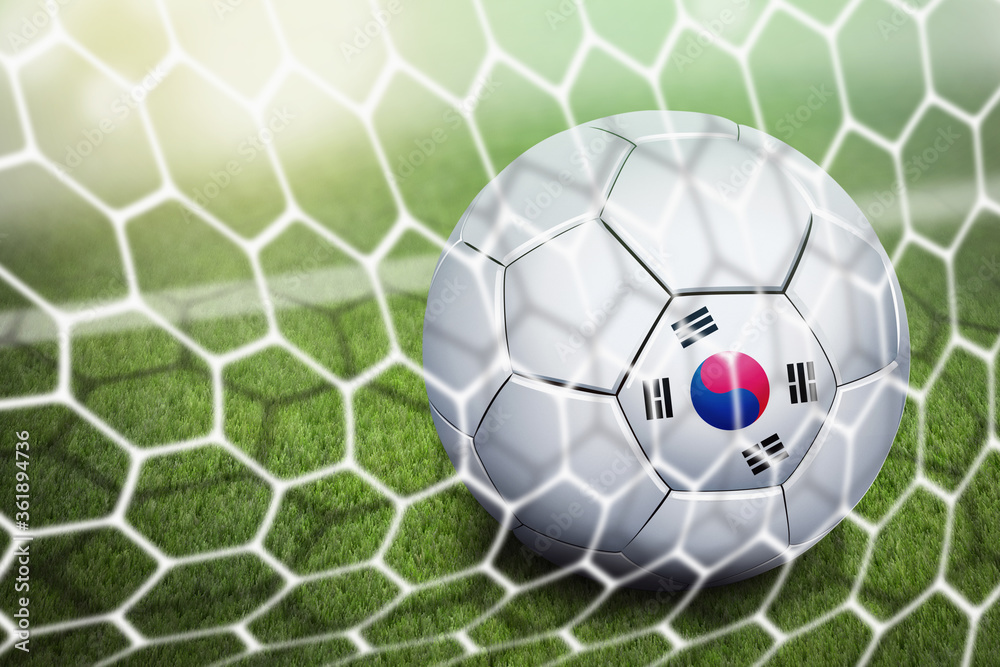Naklejka premium Korea Republic soccer ball in goal net