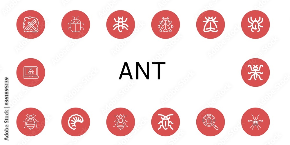 Set of ant icons Set of ant icons