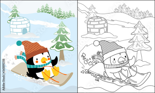 vector illustration of penguin cartoon on sled, coloring book or page