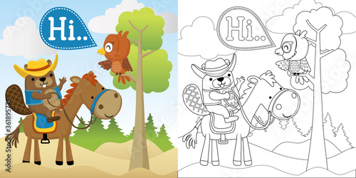 Vector cartoon illustration of beaver in cowboy costume ride on funny donkey, coloring book or page