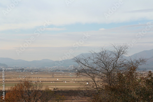 Fototapeta Naklejka Na Ścianę i Meble -  Gyeongju landscape with the mountains and paddy fields in autumn from Yangdong Folk Village, South Korea