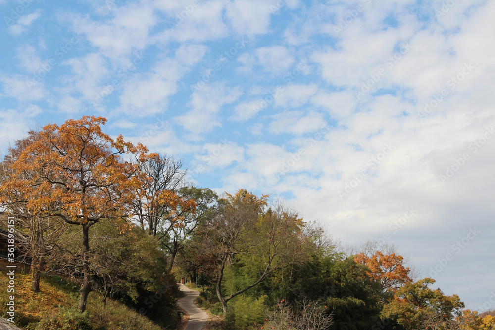 Gyeongju Yangdong Folk Village with road and beautiful surrounding in autumn, South Korea