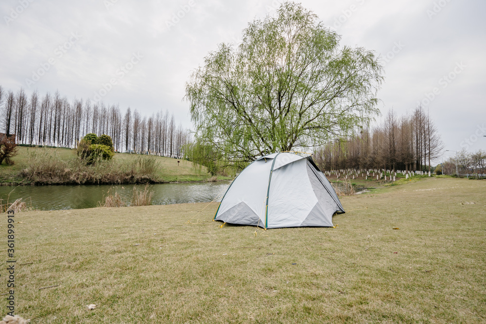 camping in the forest