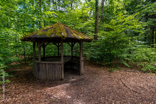 Premium hiking trail Seegang on Lake Constance photo