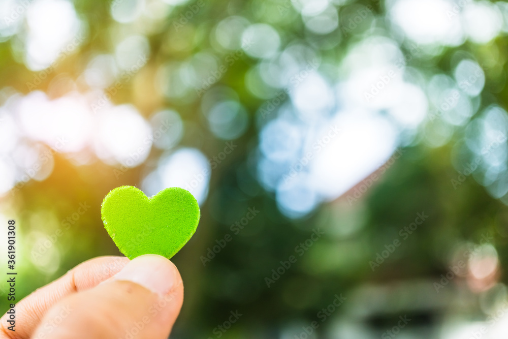 Obraz premium Hand hold little heart meaning feel love with green nature bokeh.