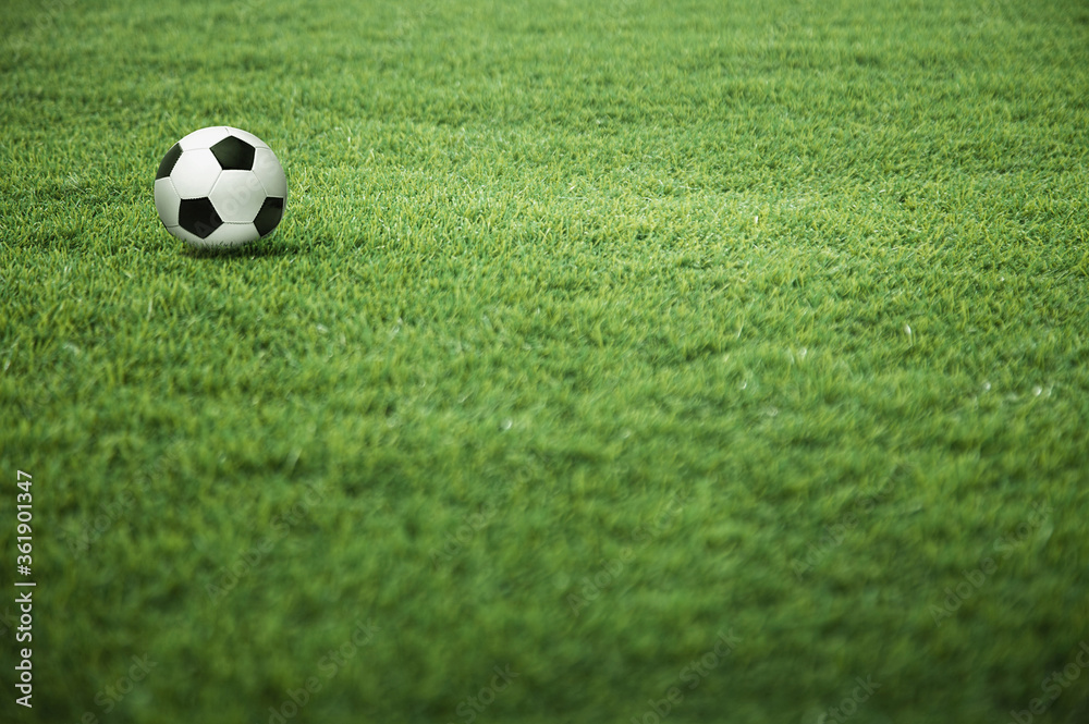 A soccer ball on the playing field A soccer ball on the playing field