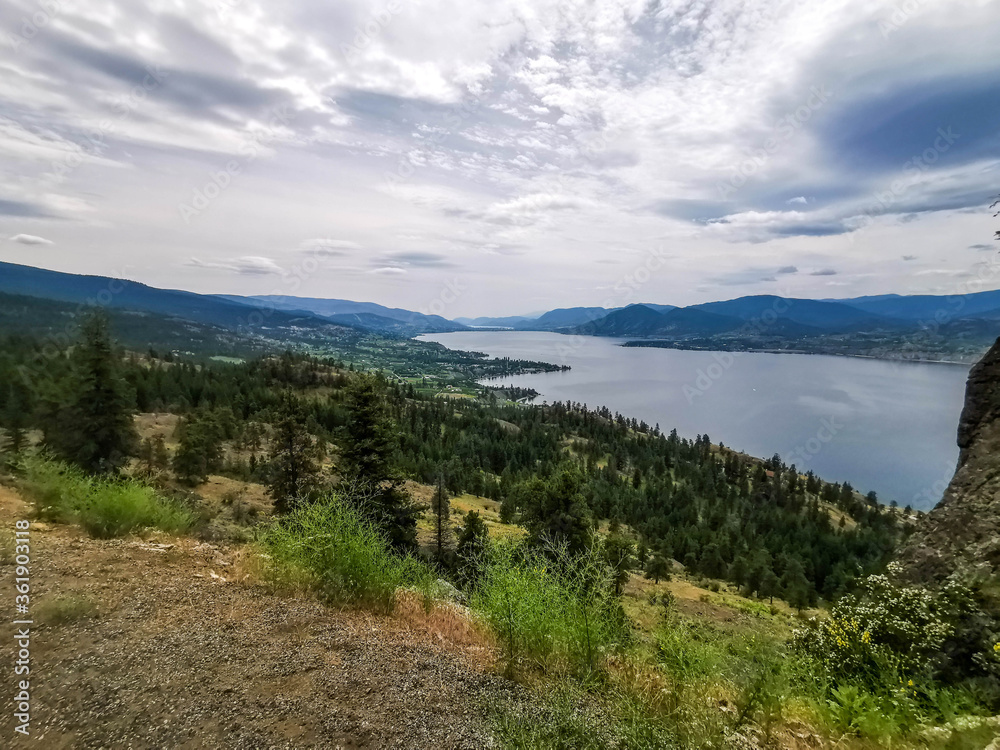 Valley View Okanagan Trees and Wildflowers Plants Outdoors