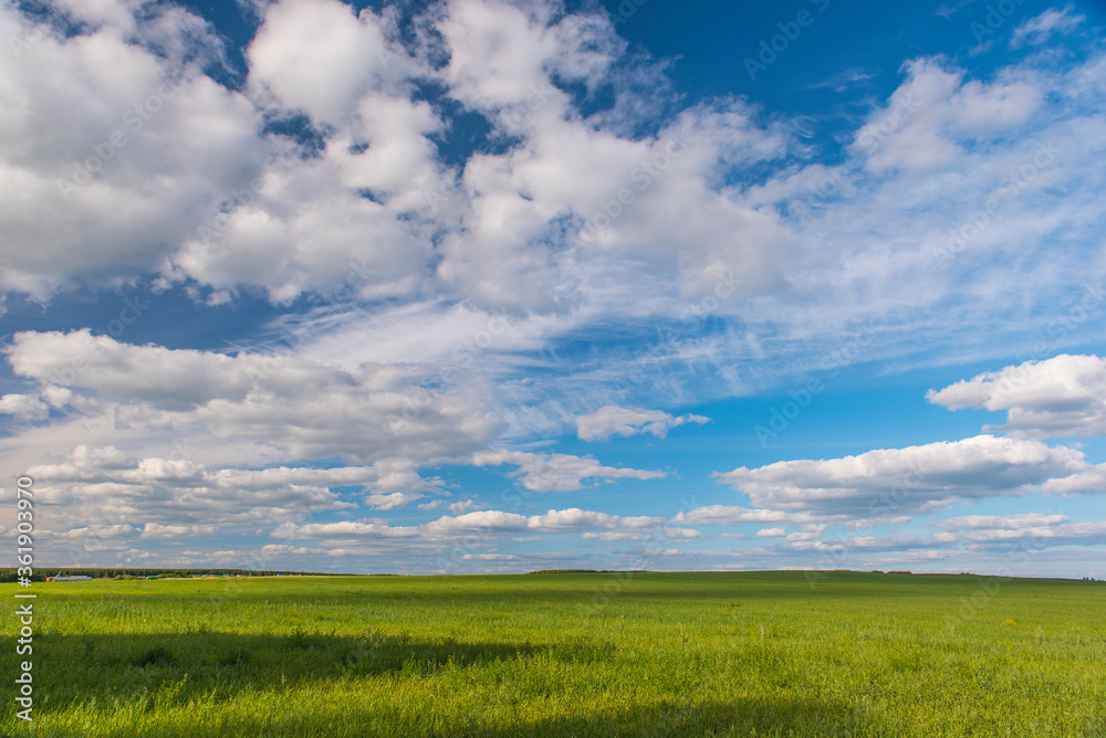 green field with white clouds in the blue sky in summer