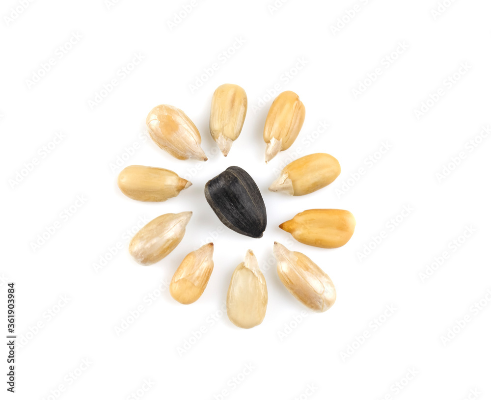 Sunflower seeds laid out in the form of a flower. Sunflower seeds on a white background. Isolated. Template. Sunflower seeds laid out in the form of a flower. Sunflower seeds on a white background. Isolated. Template.