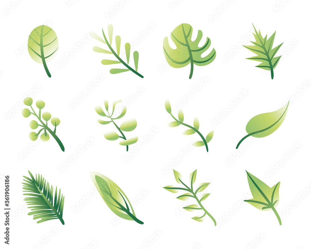 bundle of leafs plants set icons bundle of leafs plants set icons