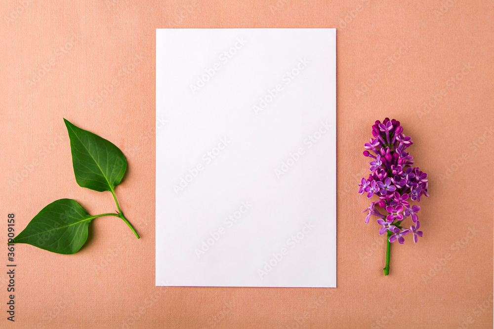 Invitation greeting card. Flat lay flowers composition for your lettering. Frame made of lilac flowers on white background. Top view, copy space for text, mock up. Wedding concept Invitation greeting card. Flat lay flowers composition for your lettering. Frame made of lilac flowers on white background. Top view, copy space for text, mock up. Wedding concept