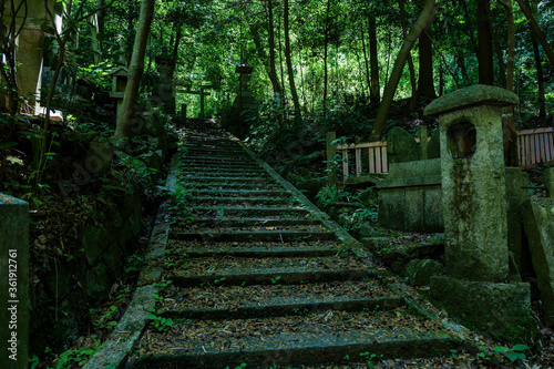 A stone staircase in a bamboo forest deep in the mountains of Kyoto