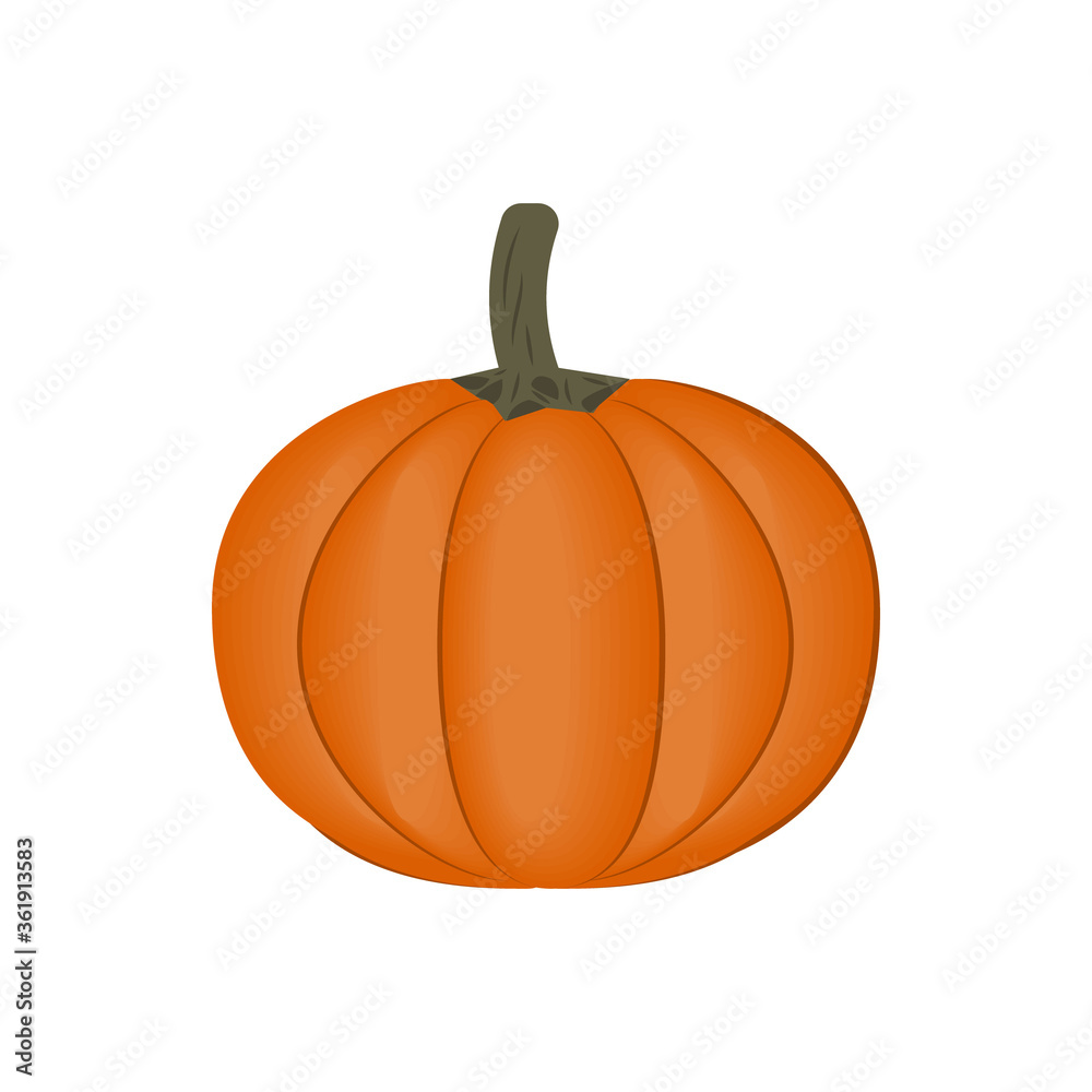 pumpkin vegetable, close-up isolated color on a white background, vector illustration, diet, design, icon
