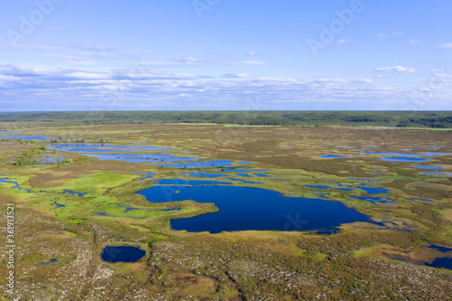 Tundra on a summer day in the North of Western Siberia
