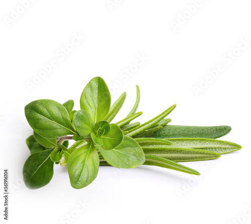 Thyme fresh herb and rosemary twig isolated