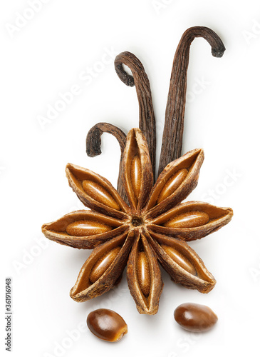 Vanilla pods and star anise seed isolated photo