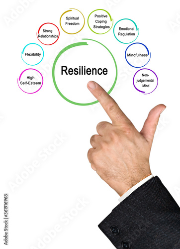 Presenting Eight drivers of Resilience