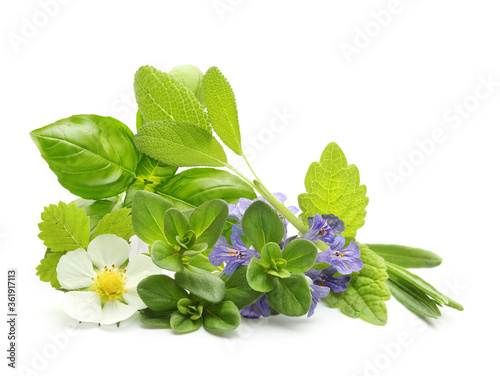 Fototapeta Naklejka Na Ścianę i Meble -  Fresh spices and herbs isolated