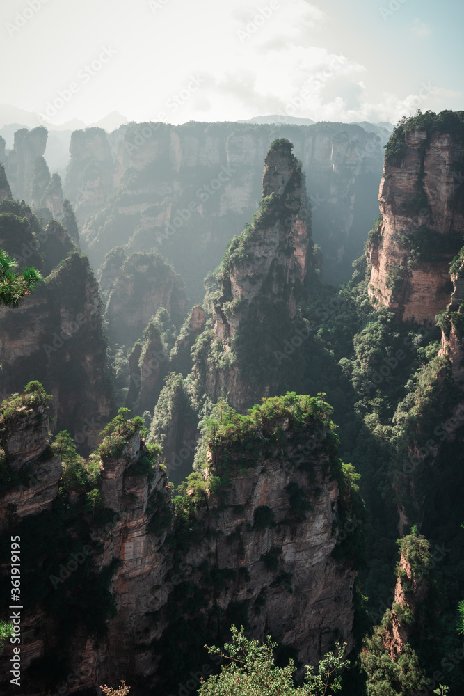 Green nature background, beautiful China Zhangjiajie National Forest Park.