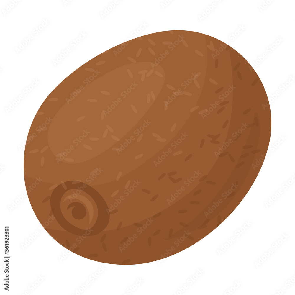 Fototapeta premium Kiwi vector icon.Cartoon vector icon isolated on white background kiwi.