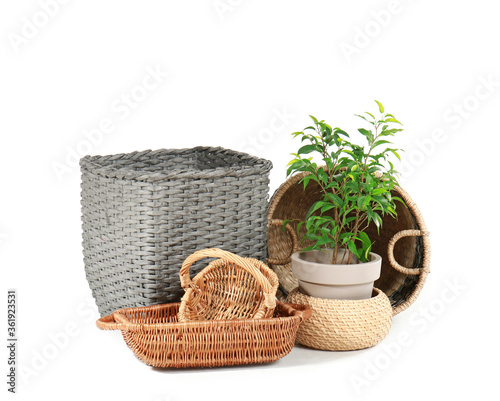 Wicker baskets with houseplant on white background
