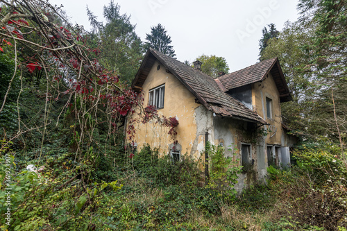 overgrown house with colorful plants © thomaseder