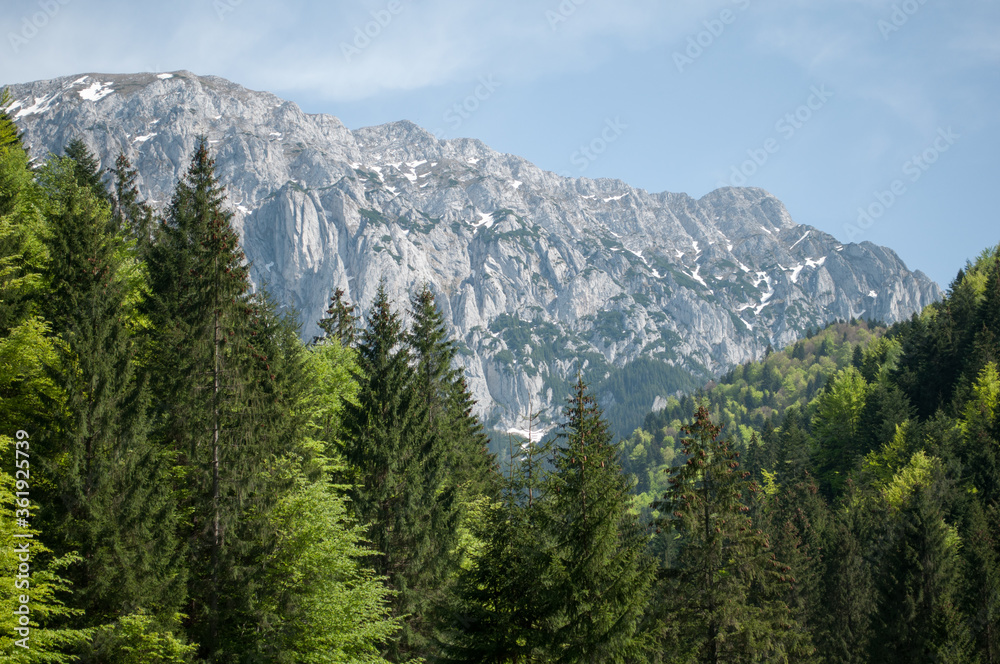 The Piatra Craiului Mountain range in the Southern Carpathians, Romania.