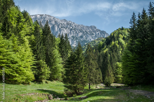 The Piatra Craiului Mountain range in the Southern Carpathians, Romania. photo