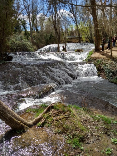 river in the forest