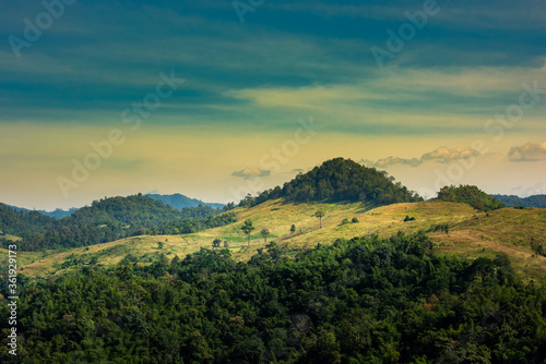 forest landscape : view of hills and mountain range full of green tree and clear blue sky.