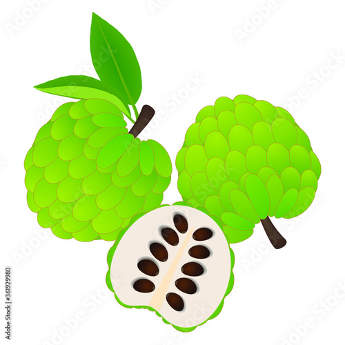 Whole cherimoya fruits and half on a white background.