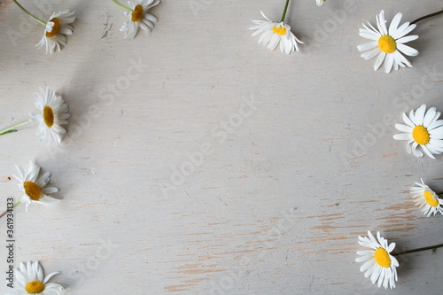 daisy flowers on wooden background © Марина Варанкина
