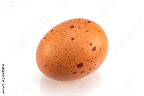 Single brown spotted egg isolated on white background