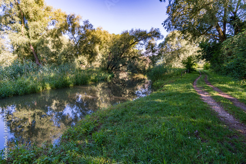 Premium hiking trail Seegang on Lake Constance photo
