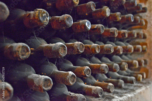 Moldova, Milestii Mici 04/24/2017. Cellars Milestii Mici, is the largest underground wine storage with the largest collection of wines in the world. They are located at a depth of about 85 m undergrou photo