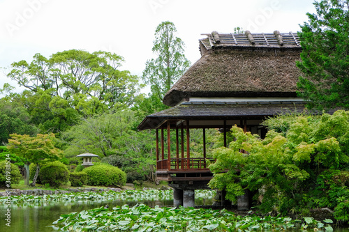 日本庭園の茶室「隔林亭」 photo