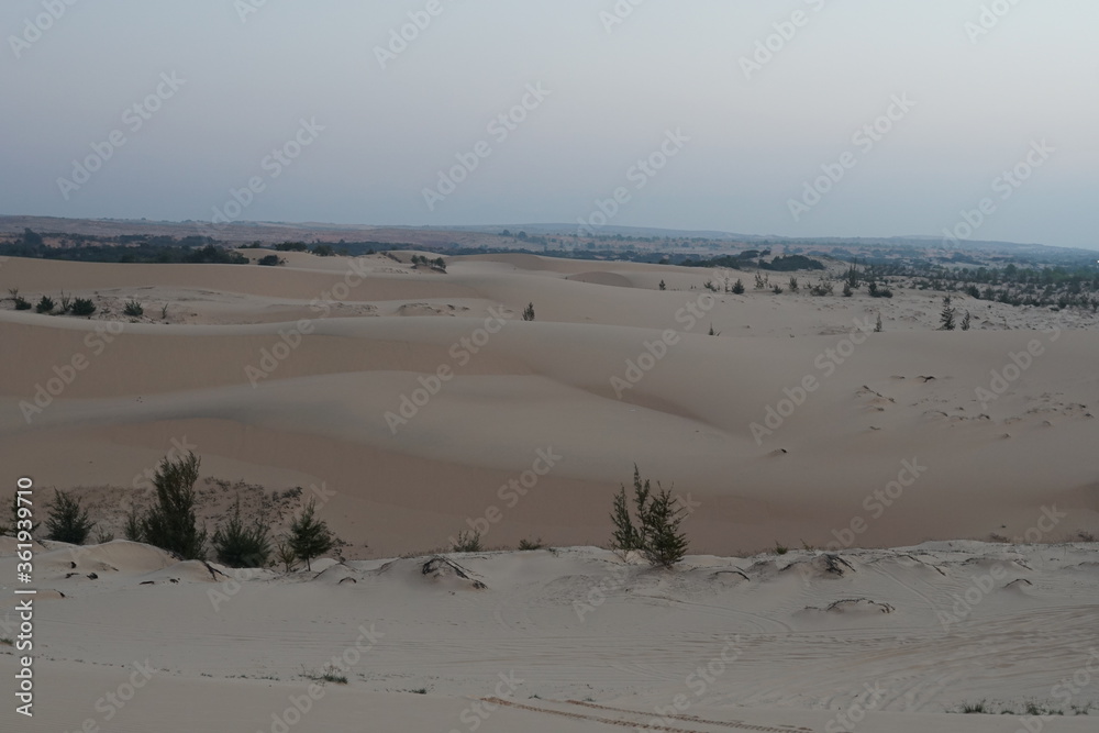 sand dunes and beach