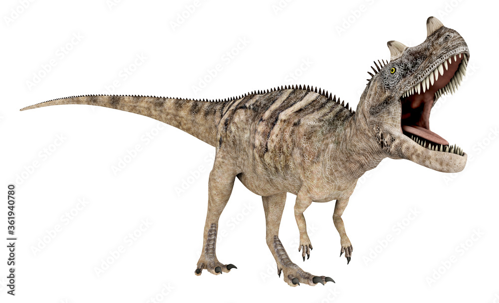 Dinosaurier Ceratosaurus, Freisteller Dinosaurier Ceratosaurus, Freisteller