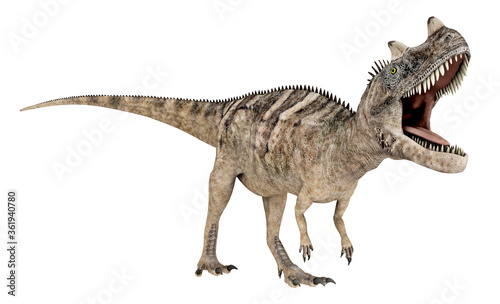 Fototapeta Naklejka Na Ścianę i Meble -  Dinosaurier Ceratosaurus, Freisteller