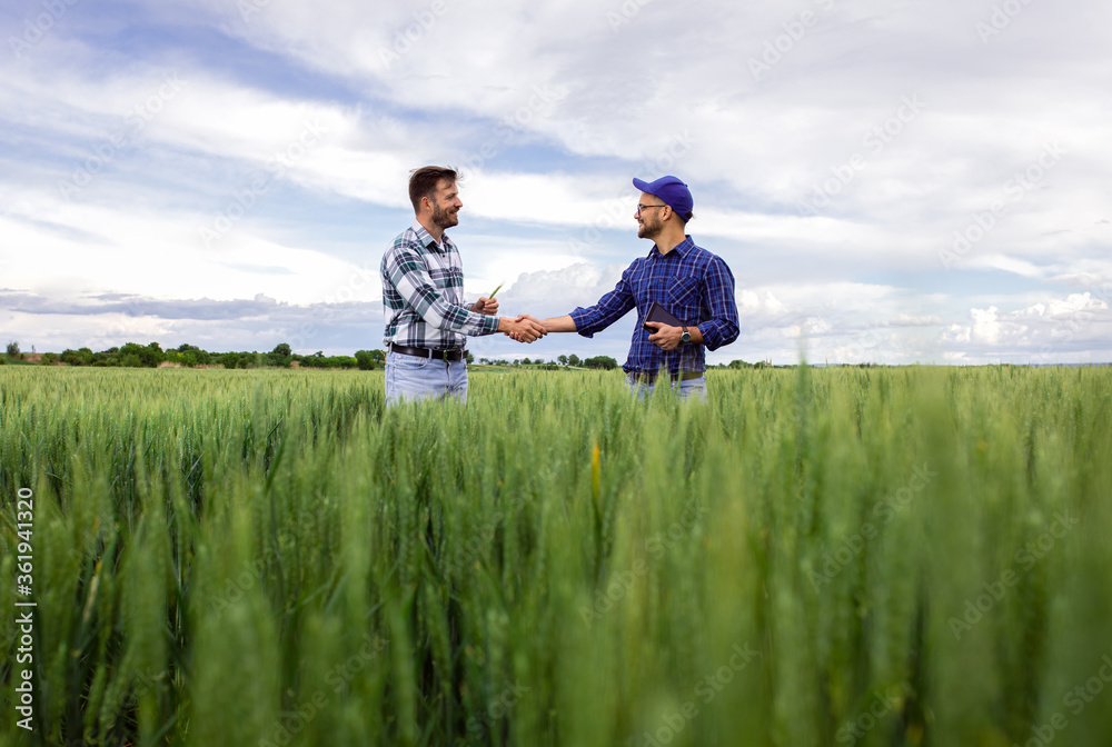 Two farmers making agreement with handshake in green wheat field. Two farmers making agreement with handshake in green wheat field.