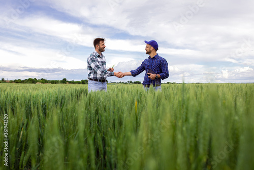 Two farmers making agreement with handshake in green wheat field.