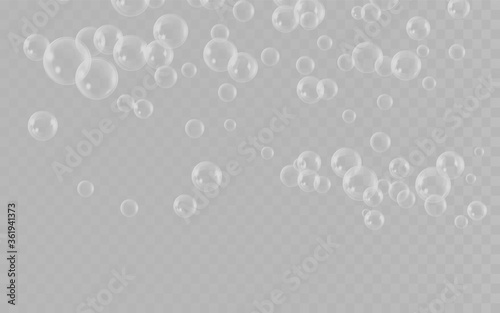 Realistic white water bubbles with reflection on transparent background. Vector illustration