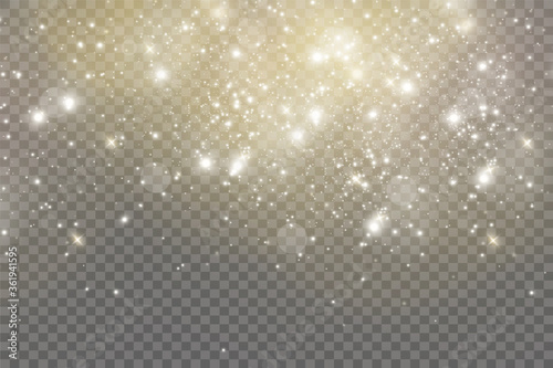 Vector sparkles on a transparent background. Christmas abstract pattern. Sparkling magical dust particles.