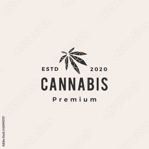 geometric cannabis hipster vintage logo vector icon illustration